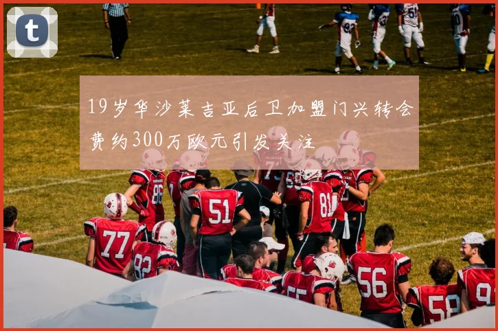 19岁华沙莱吉亚后卫加盟门兴转会费约300万欧元引发关注